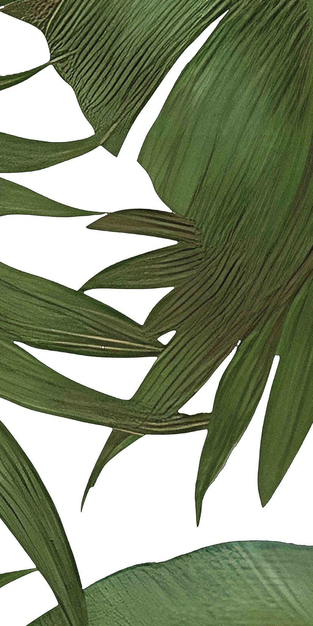  Gạch in hoạ tiết Tropical Leaves 