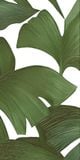  Gạch in hoạ tiết Tropical Leaves 