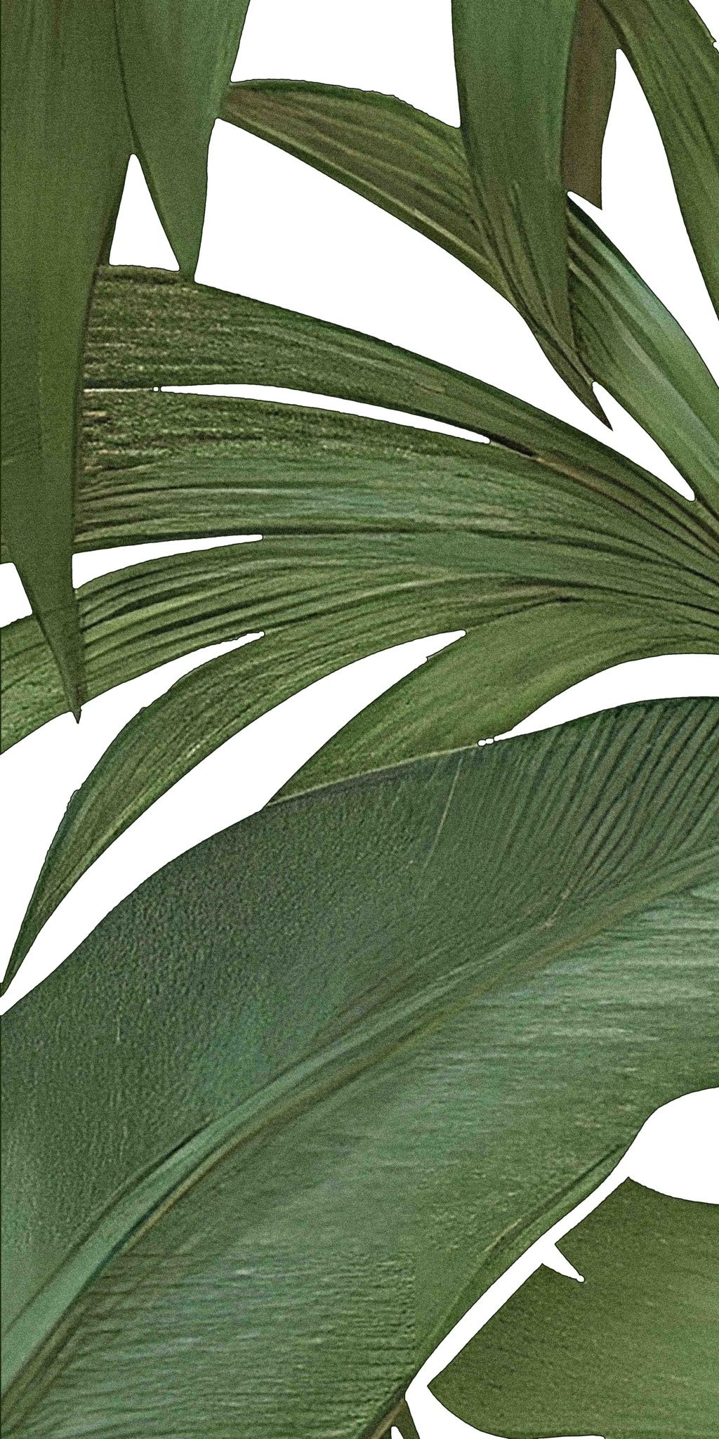  Gạch in hoạ tiết Tropical Leaves 
