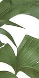  Gạch in hoạ tiết Tropical Leaves 