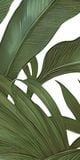  Gạch in hoạ tiết Tropical Leaves 