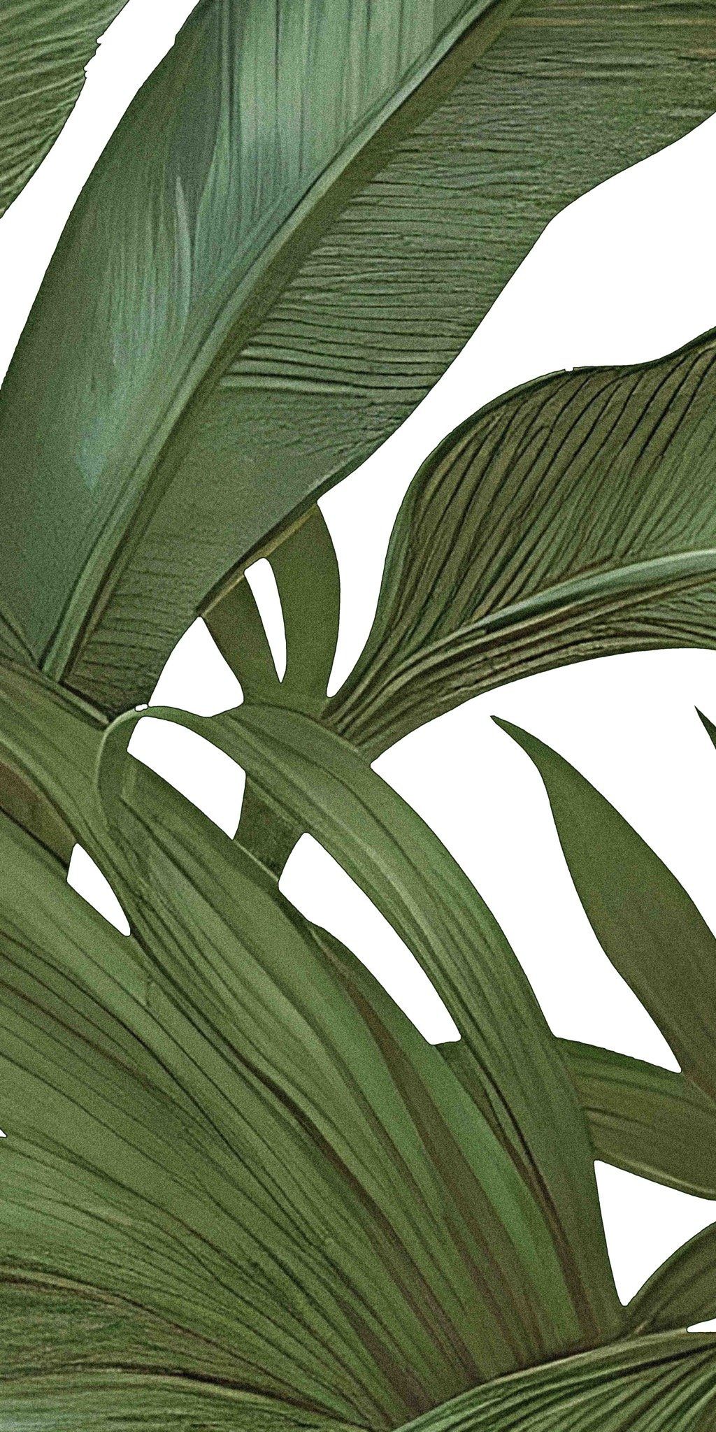  Gạch in hoạ tiết Tropical Leaves 
