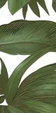  Gạch in hoạ tiết Tropical Leaves 