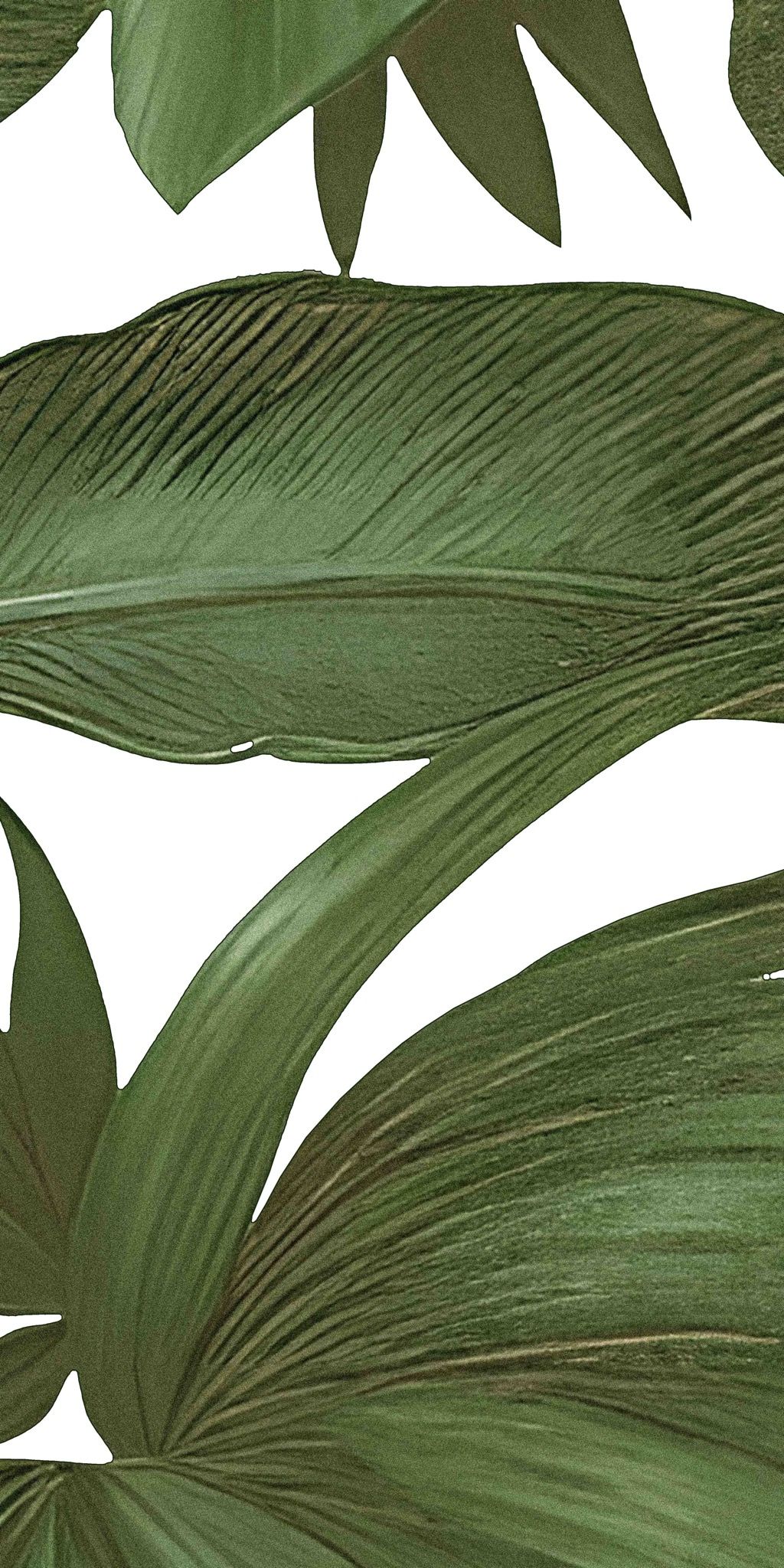  Gạch in hoạ tiết Tropical Leaves 