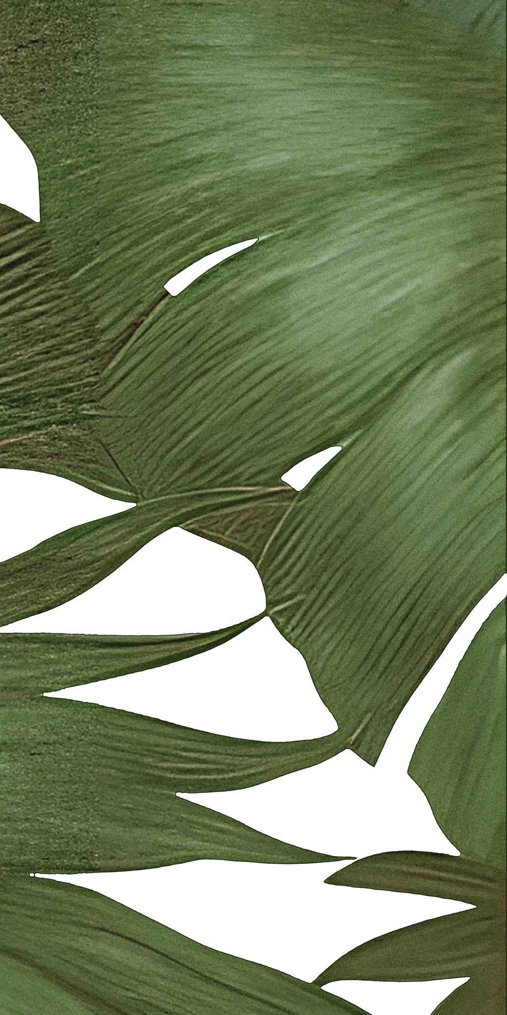  Gạch in hoạ tiết Tropical Leaves 