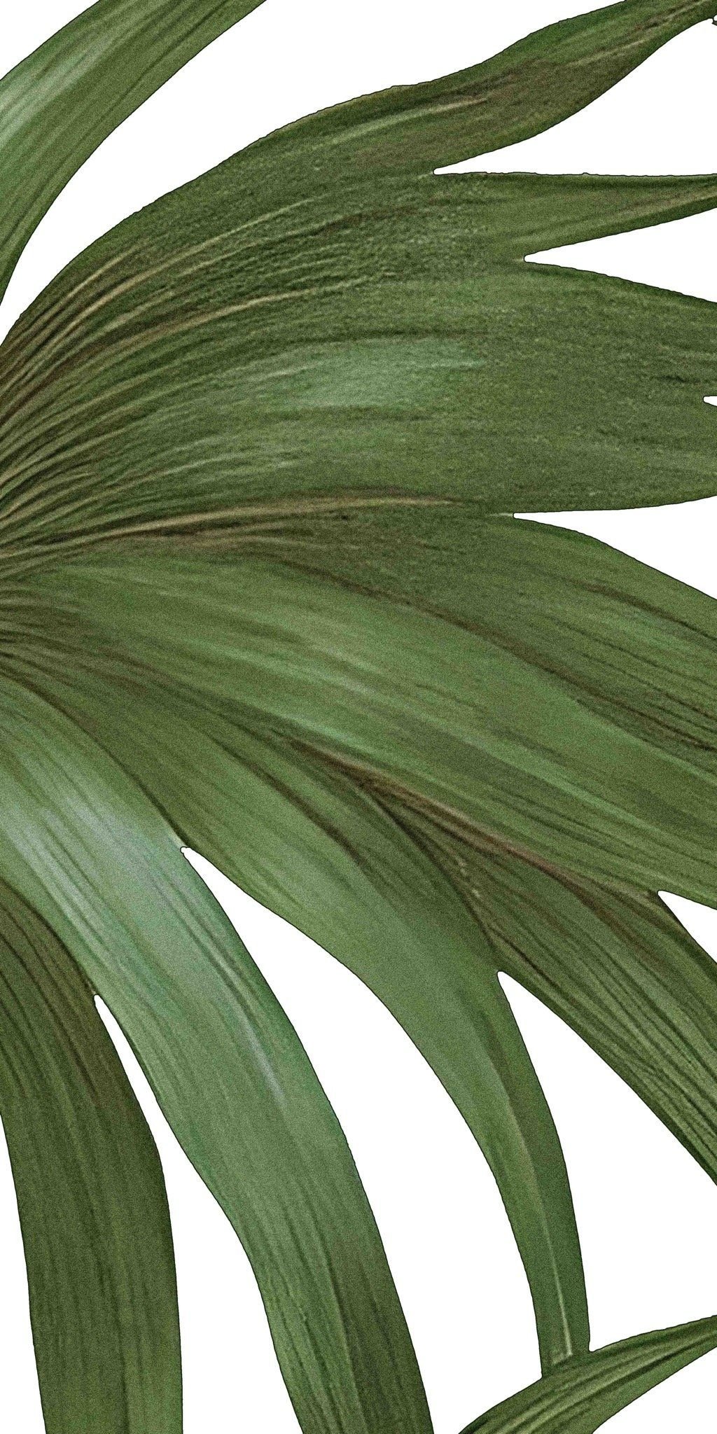  Gạch in hoạ tiết Tropical Leaves 