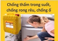SIKAGARD 905W | CHẤT CHỐNG THẤM KHÔNG MÀU NGỪA RÊU MỐC
