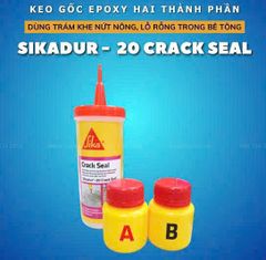 KEO EPOXY XỬ LÝ NỨT SIKADUR 20 CRACK SEAL
