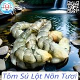  Tôm Sú Lột Nõn Tươi 