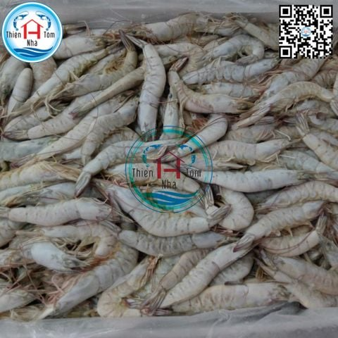  Tôm Thẻ Nguyên Con Đông Siêu Tốc thùng 5kg 