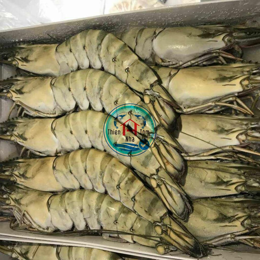  Tôm Sú Đông Siêu Tốc Hộp Lớn thùng 10kg 