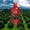 Dầu gội kèm dầu xả 2in1 Old Spice Shampoo & Conditioner Bearglove - 650ml