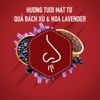 Lăn khử mùi Old Spice Stick Deodorant Elklord - 85gr