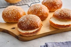 Vỏ bánh Hamburger 60gr