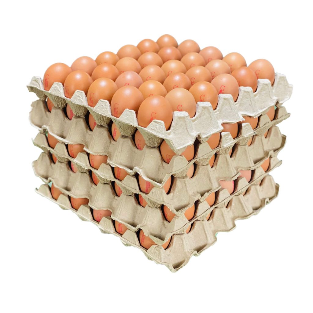 Trứng gà so dinh dưỡng Tafa size XS (45- 50gr), Thùng 150 quả, 100% date mới, Trứng sạch chuẩn VietGap
