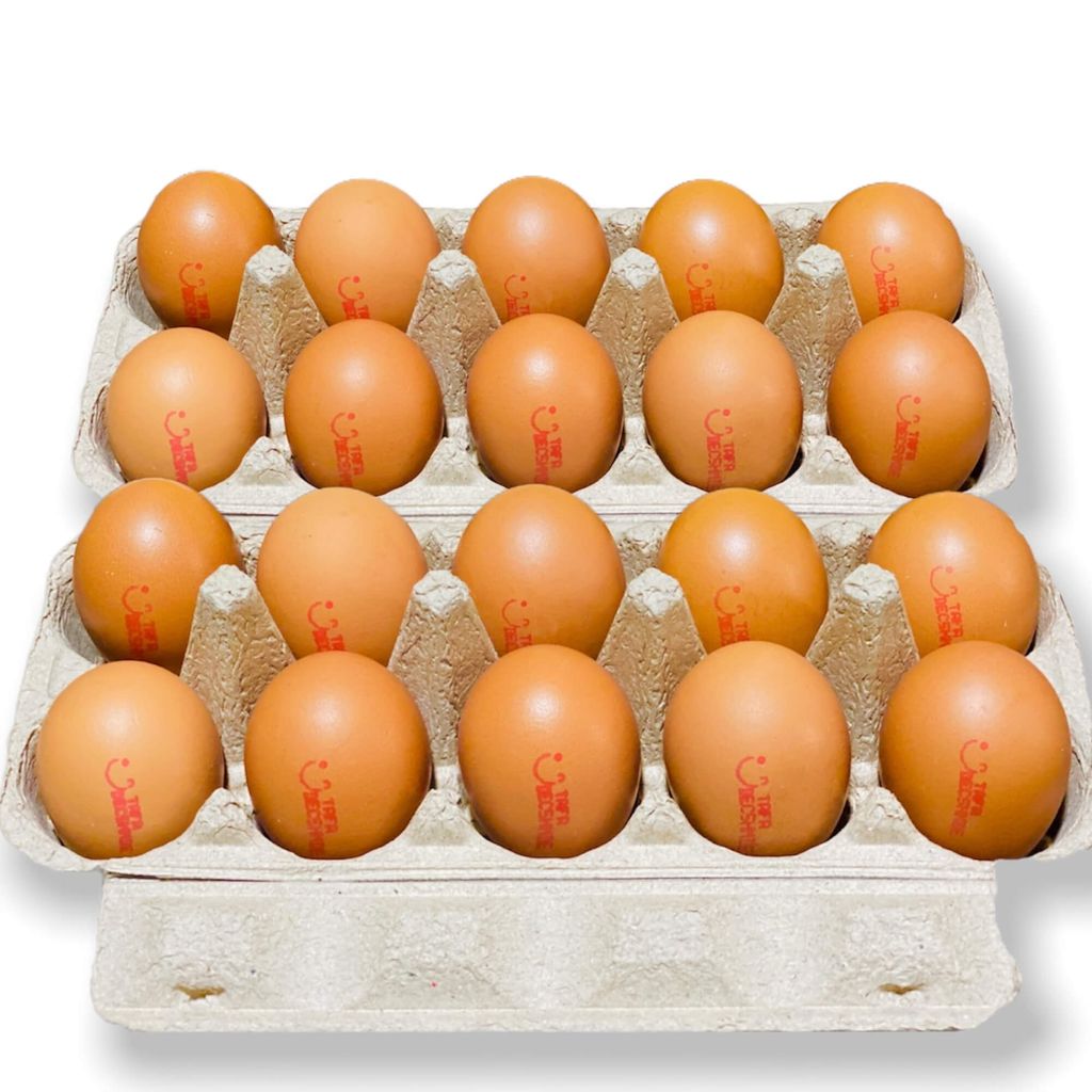 Tafa premium fresh chicken eggs (70 g), 150 eggs, 100% new date, VietGap standard clean eggs