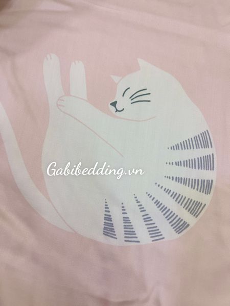  Set Bé đi Học 27 - Mèo Siêu Quậy 