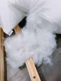  Ruột gối nằm - Lông vũ 