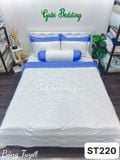  Satin Bông Tuyết 