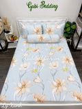  Tencel Ly Xanh 