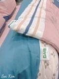  Cotton Sọc Kim 