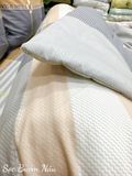  Cotton Sọc Bướm Nâu 