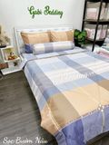  Cotton Sọc Bướm Nâu 
