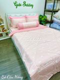  Satin Bồ Câu Hồng 
