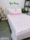  Satin Bắp Hồng 