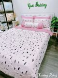  Satin Xương Rồng 