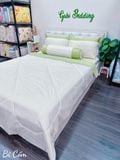  Modal Bi Cốm 