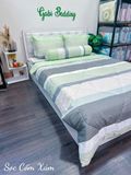  Tencel Sọc Cốm Xám 