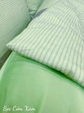  Tencel Sọc Cốm Xám 