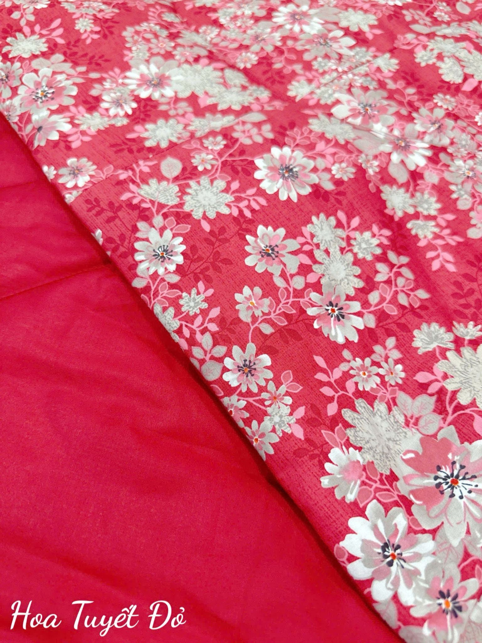  Satin Hoa Tuyết Đỏ 