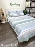  Tencel Mắt Xám Xanh 