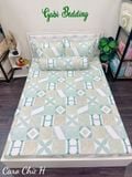  Cotton Caro Chữ H 