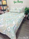  Cotton Caro Chữ H 