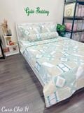  Cotton Caro Chữ H 