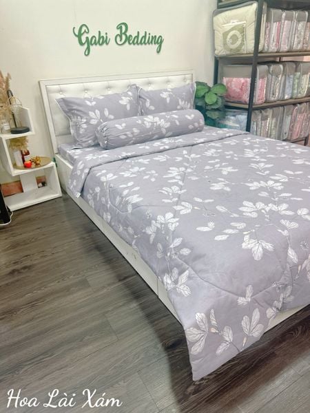  Cotton Hoa Lài Xám 