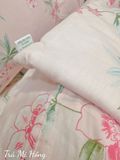  Cotton Trà Mi Hồng 