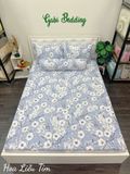  Cotton Hoa Liễu Tím 