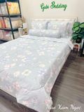  Cotton Mao Xám Ngọc 