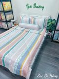  Satin Sọc Bi Hồng 