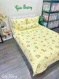 Cotton Gấc Vàng 