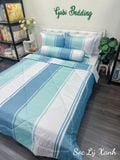  Satin Sọc Lý Xanh 