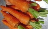 Cà rốt hữu cơ Cây Gạo Hòa Bình (kg)