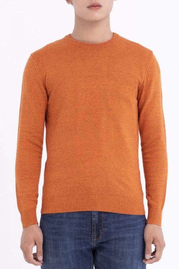 Áo len nam CALUCI CBWO19-01