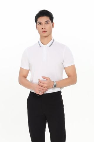 Áo Polo CALUCI MPS530S