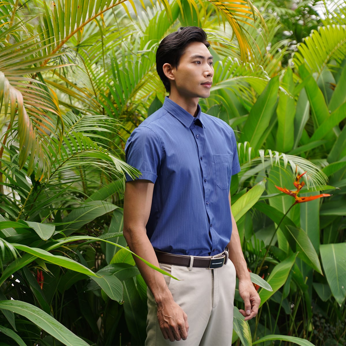 Áo sơ mi nam ngắn tay CALUCI MSS3164R