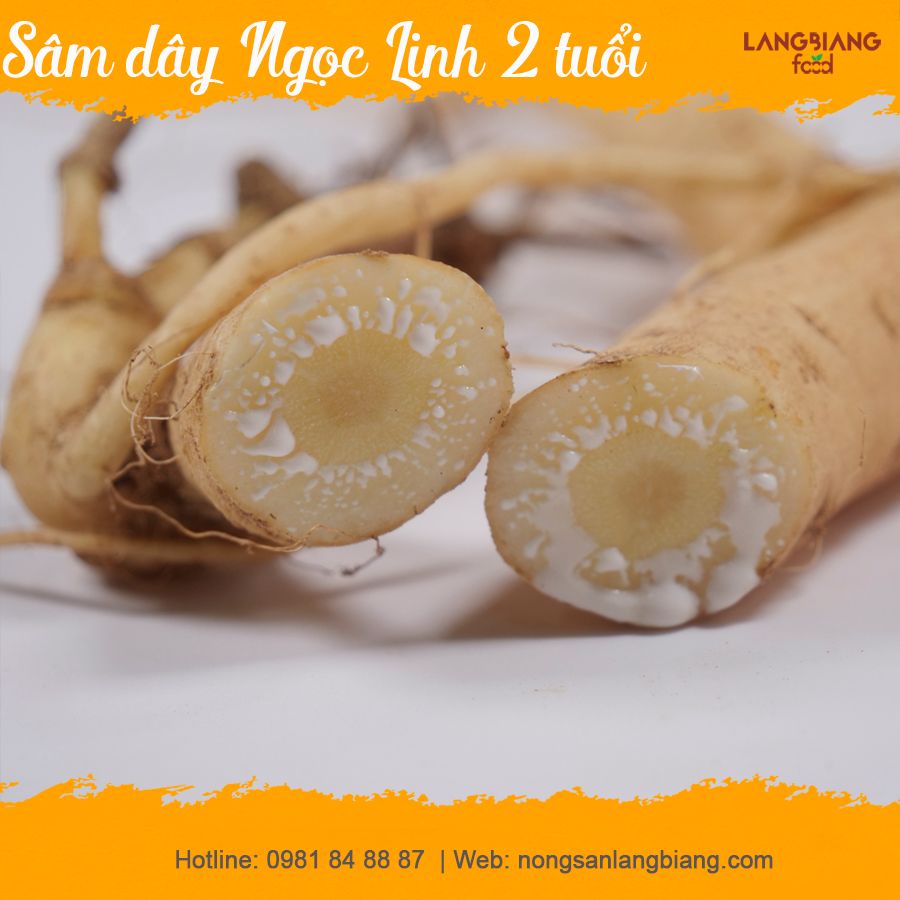 Sâm dây Ngọc Linh tươi Langbiang Food - 2 tuổi  100g